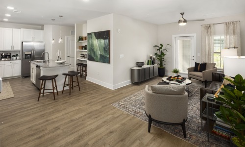 Living room and kitchen